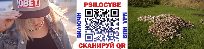 Псилоцибиновые грибы мухоморы  как найти наркотики  Юрьев-Польский 